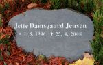 Jette Damsgaard Jensen.JPG